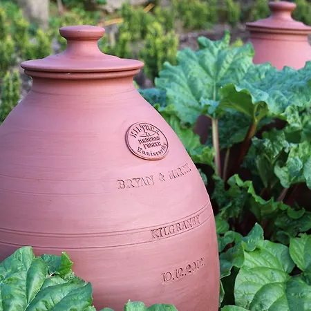 Kilgraney House Bagenalstown